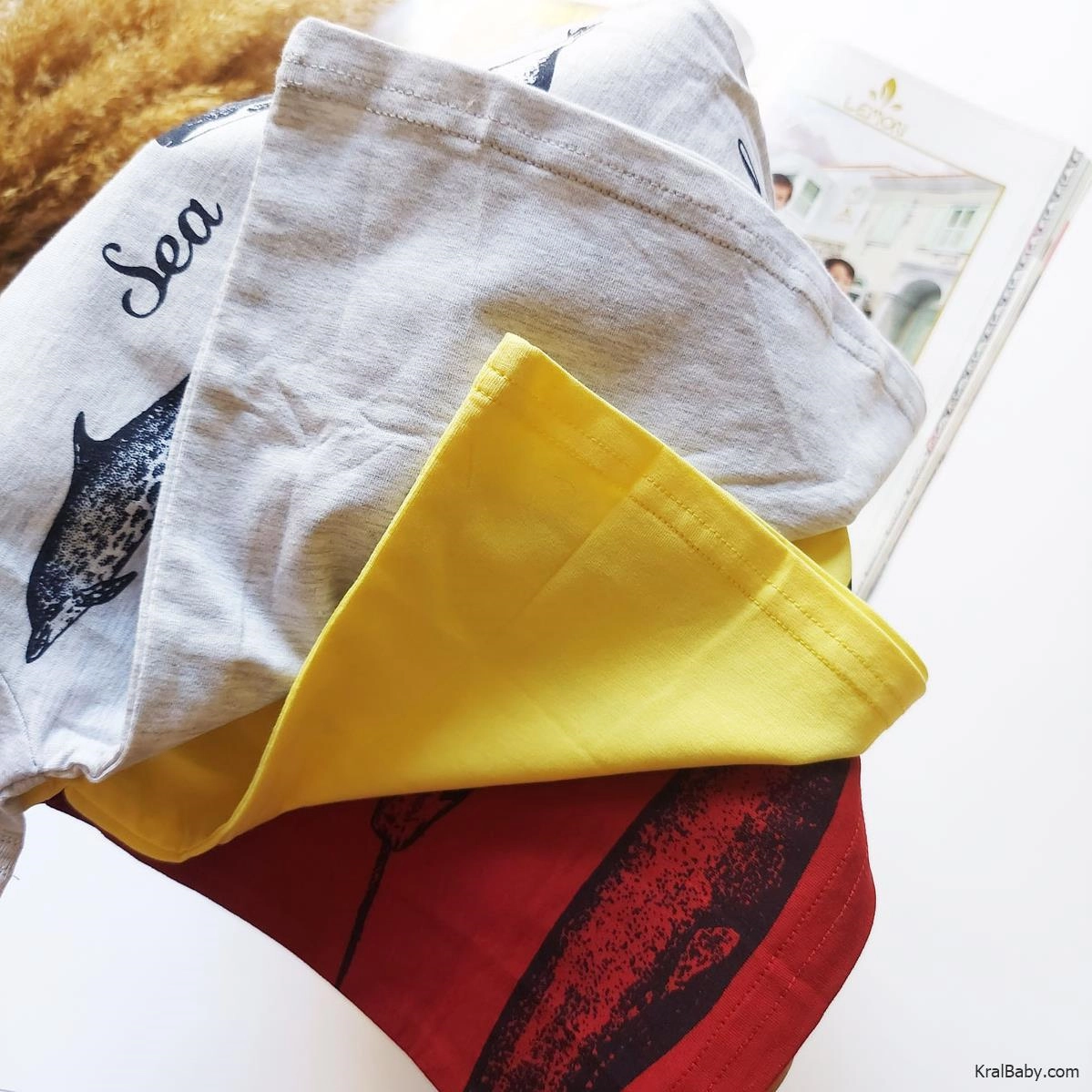 7de717d9-93f4-471b-ab3e-ca653dad4afc.jpg