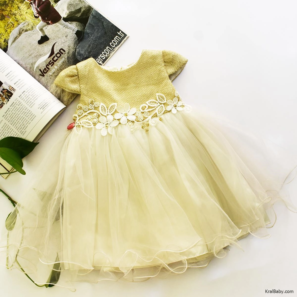 a2a9f256-4025-4d67-8023-d188c747070b.jpg