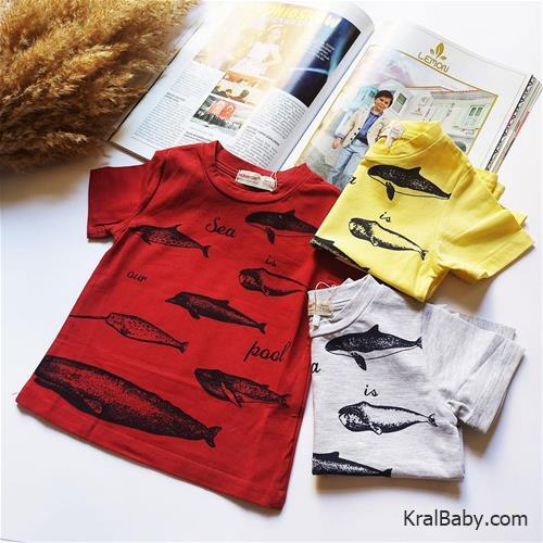 تیشرت طرح کوسه کد 08