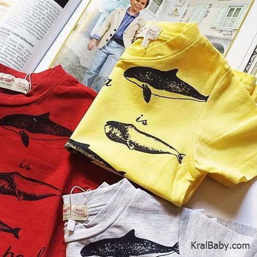 تیشرت طرح کوسه کد 08